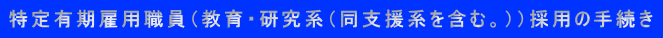 LٗpEiEnixn܂ށBjj̗p̎葱
